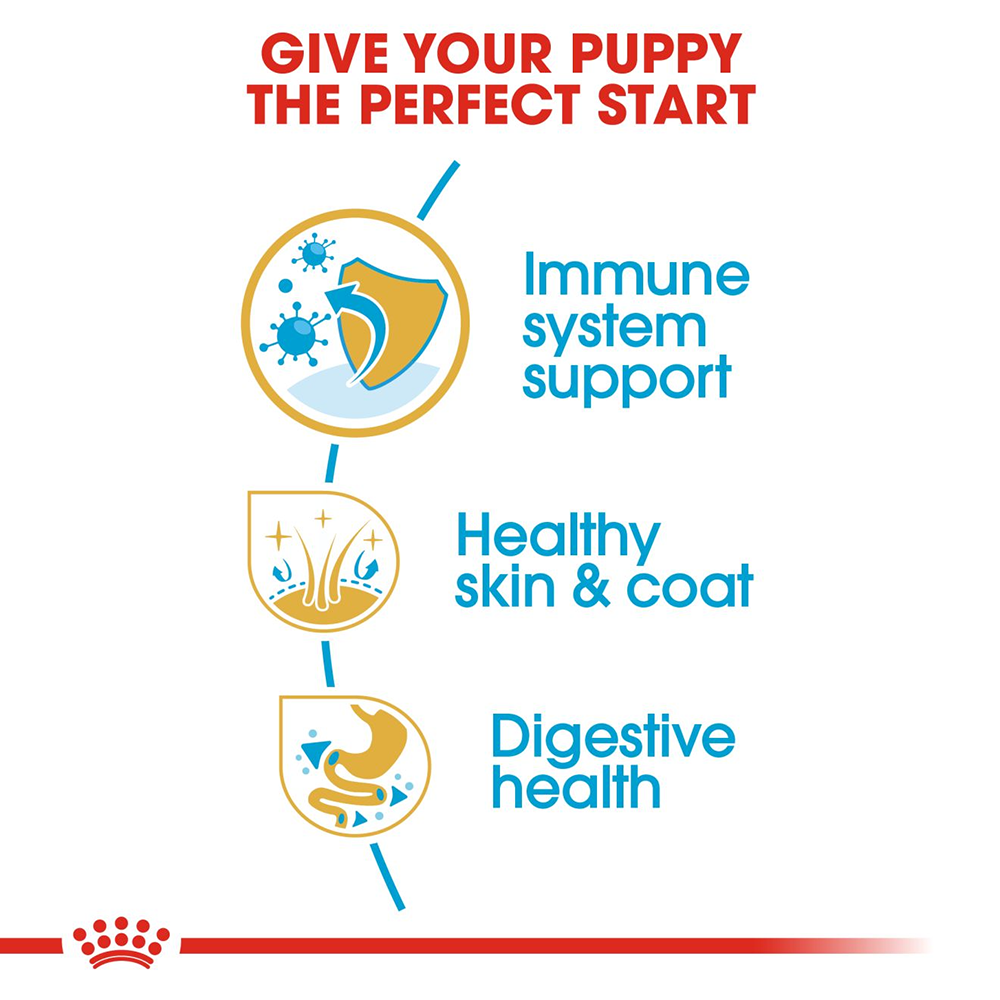 Royal Canin Royal Canin Golden Retriever Puppy Dry Dog Food