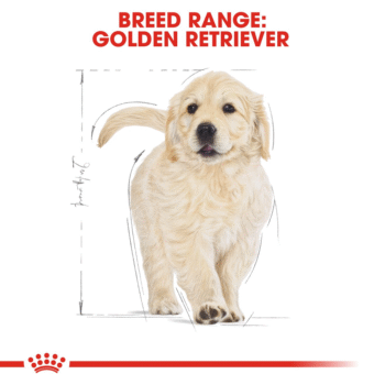 Royal Canin Royal Canin Golden Retriever Puppy Dry Dog Food
