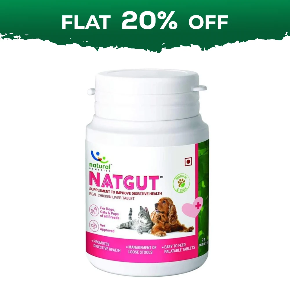 Natgut Digestive Dog Supplement